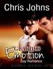 Guarded Emotion by Chris Johns