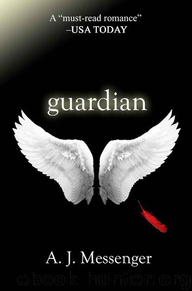 Guardian (The Guardian Series Book 1) by A.J. Messenger