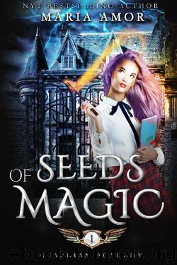 Guardian Academy 1: Seeds Of Magic (The Mystery Of The Four Corners) by Maria Amor