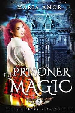 Guardian Academy 2: Prisoner Of Magic (The Mystery Of The Four Corners) by Maria Amor