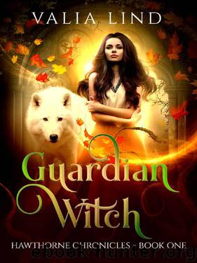 Guardian Witch by Valia Lind