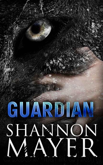 Guardian by Mayer Shannon