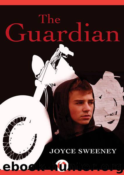 Guardian by Sweeney Joyce;
