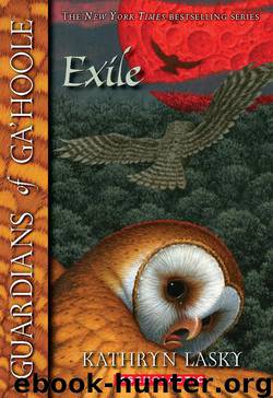 Guardians of Ga'Hoole: Exile by Kathryn Lasky