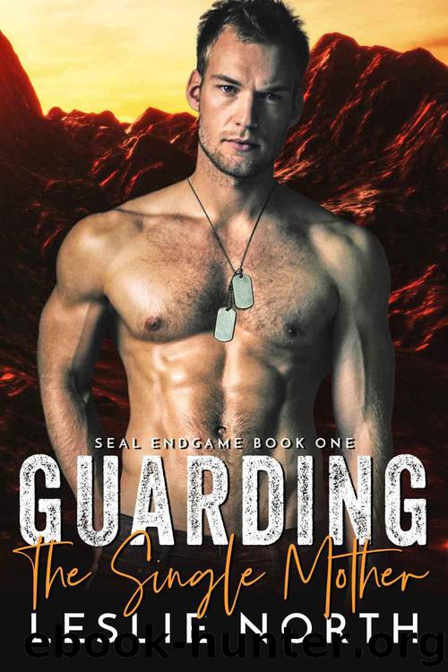 Guarding the Single Mother (SEAL Endgame Book 1) by North Leslie
