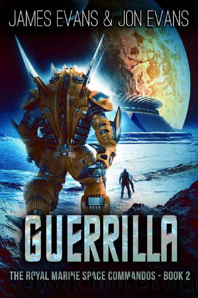 Guerrilla by Jon Evans & James Evans