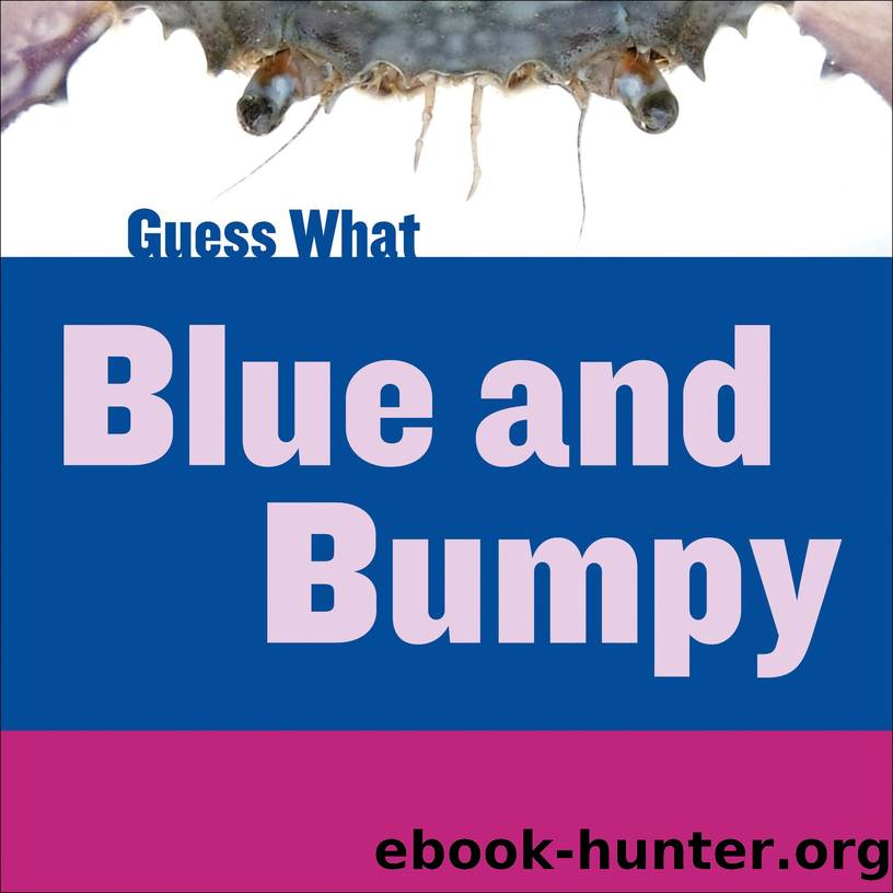 Guess What Blue and Bumpy by Macheske Felicia
