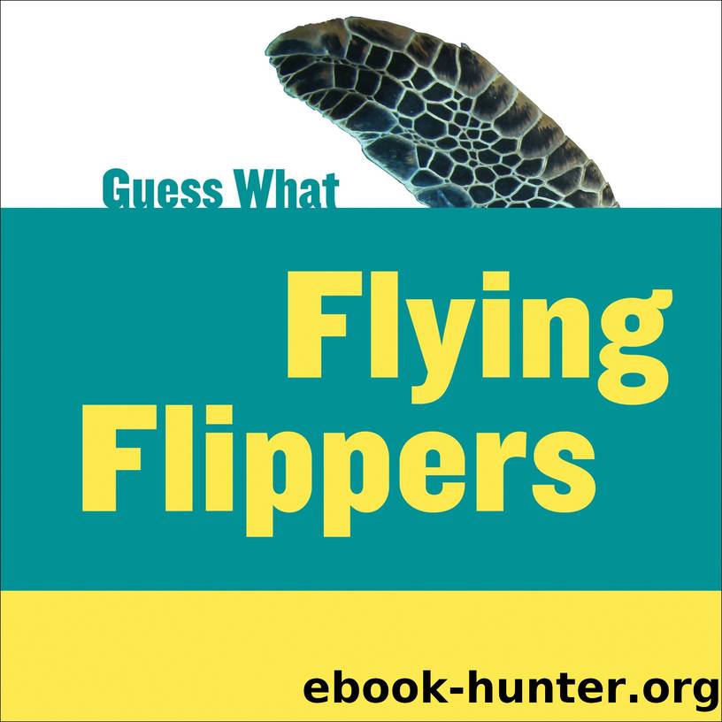 Guess What Flying Flippers by Felicia Macheske