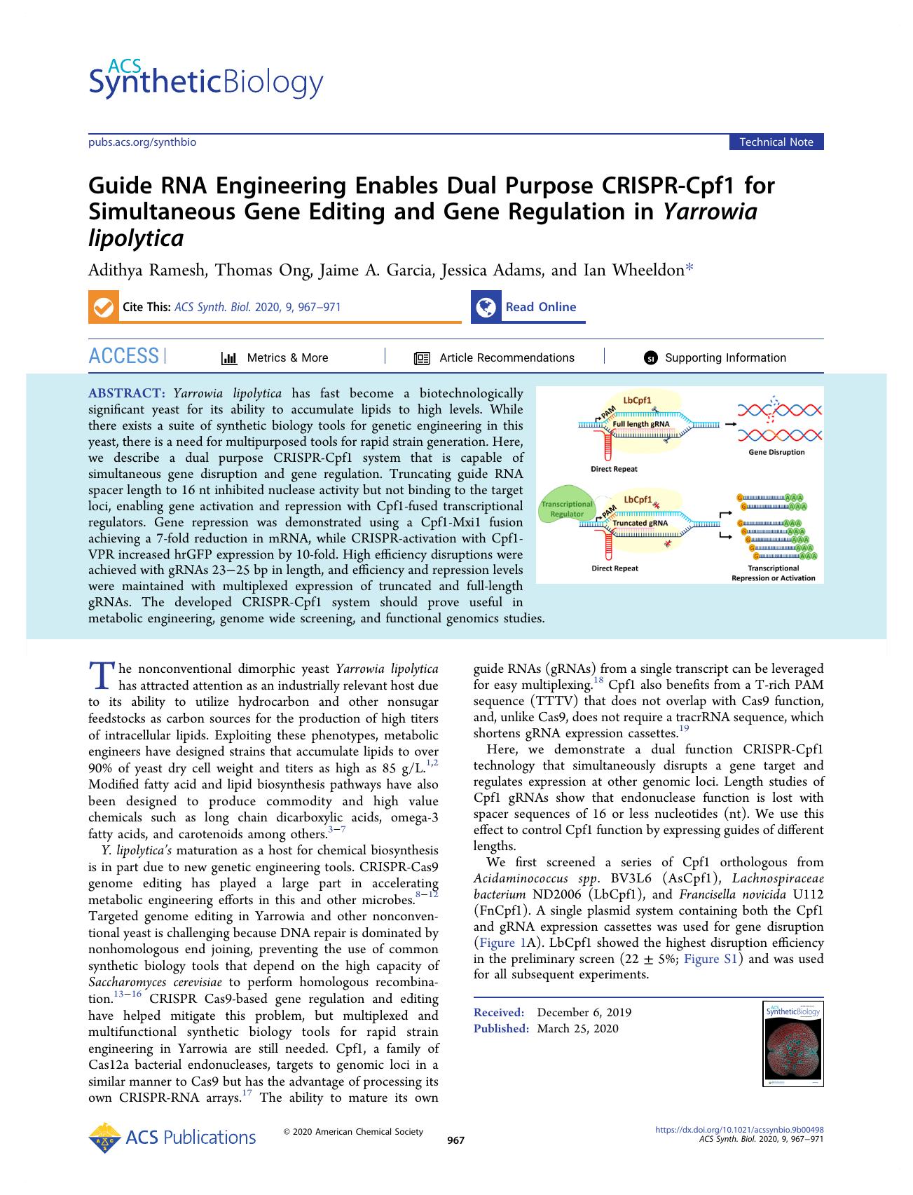 Guide RNA Engineering Enables Dual Purpose CRISPR-Cpf1 for Simultaneous Gene Editing and Gene Regulation in Yarrowia lipolytica by Adithya Ramesh Thomas Ong Jaime A. Garcia Jessica Adams and Ian Wheeldon