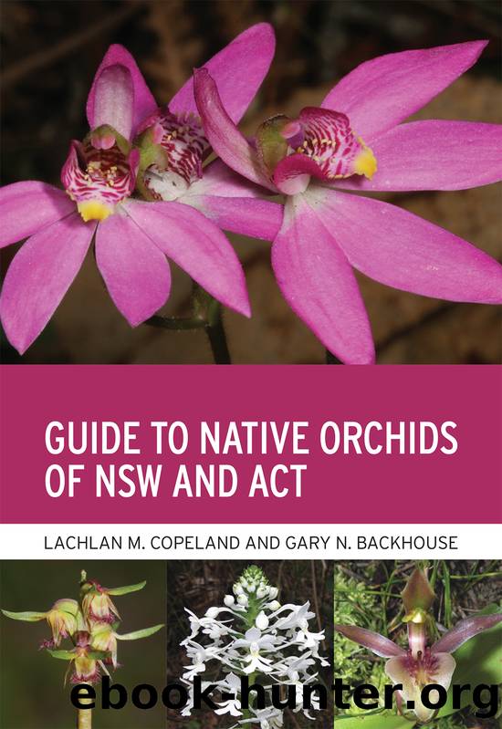 Guide to Native Orchids of NSW and ACT by Unknown