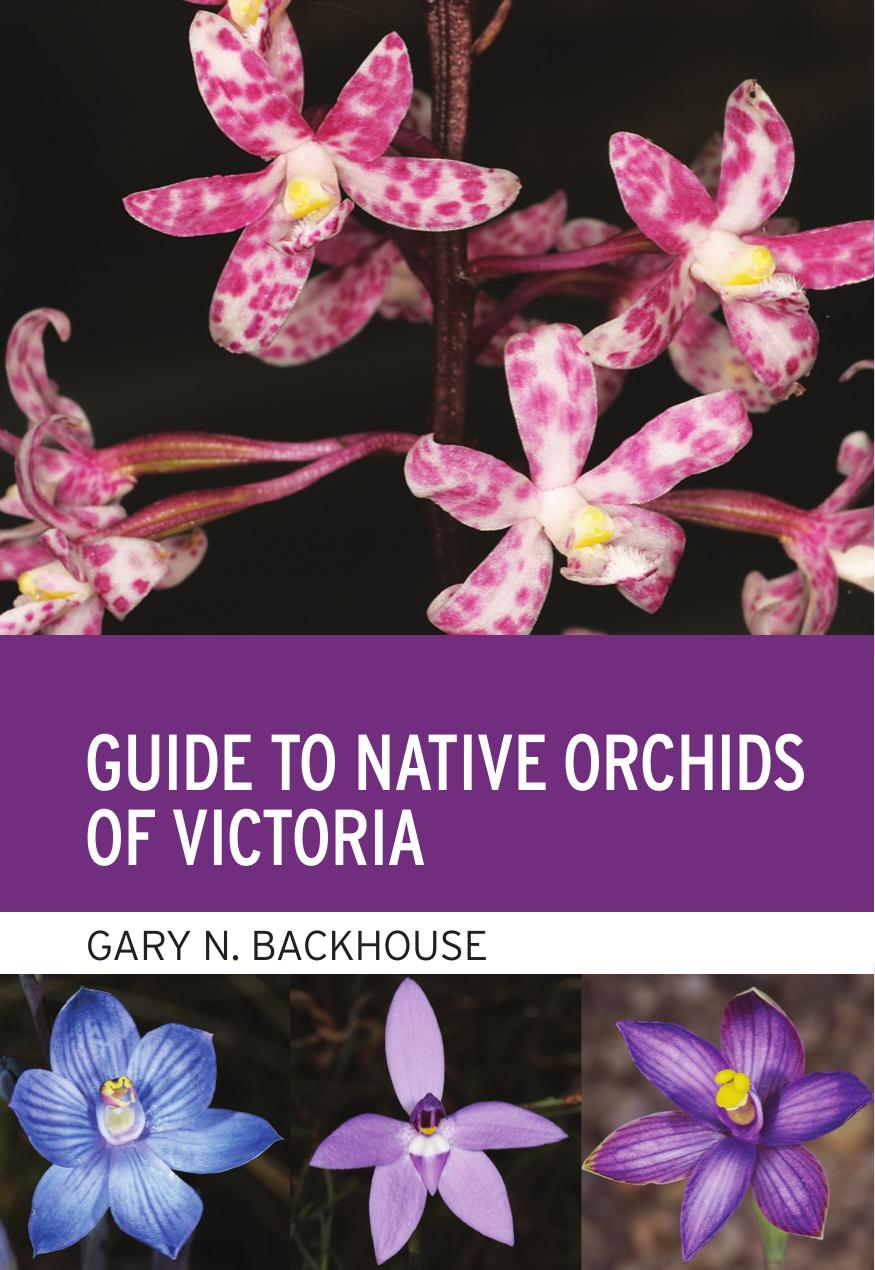 Guide to Native Orchids of Victoria by Gary N. Backhouse