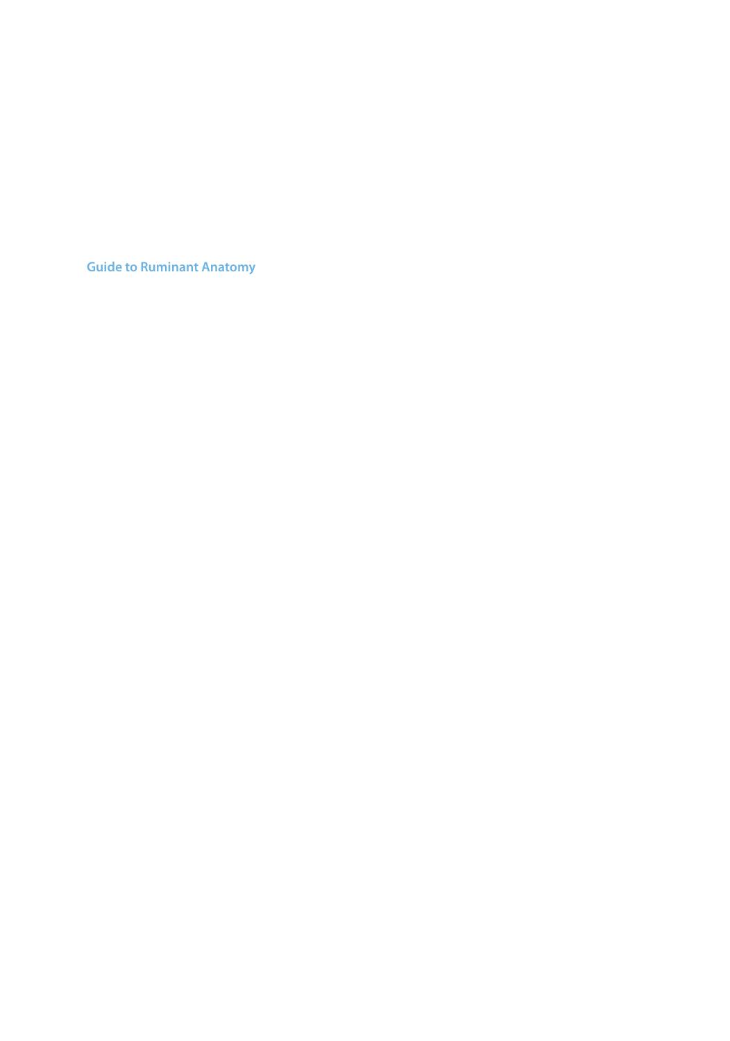 Guide to Ruminant Anatomy: Dissection and Clinical Aspects by Mahmoud Mansour Ray Wilhite Joe Rowe