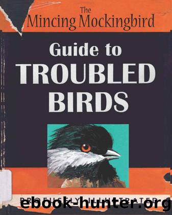 Guide to Troubled Birds by Mockingbird The Mincing