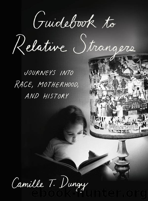 Guidebook to Relative Strangers by Camille T. Dungy