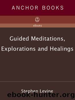 Guided Meditations, Explorations and Healings by Stephen Levine
