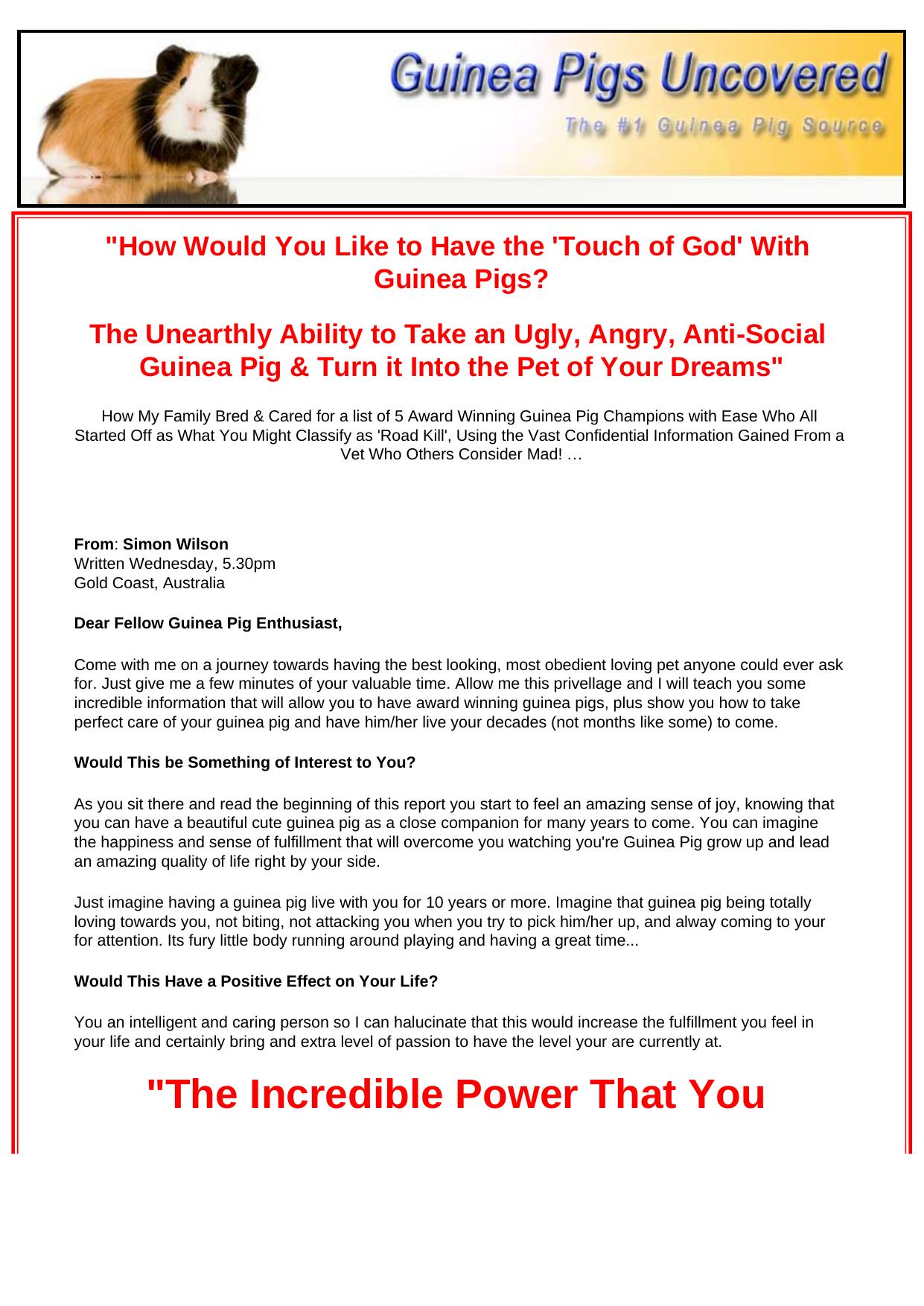 Guinea Pigs Uncovered. by Best of Kuszter's Collection