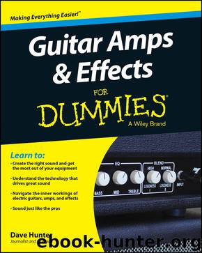 Guitar Amps & Effects For Dummies by Hunter Dave