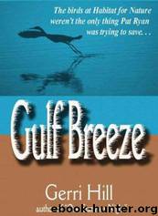 Gulf Breeze by Gerri Hill