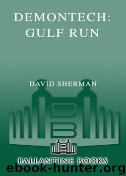 Gulf Run by David Sherman