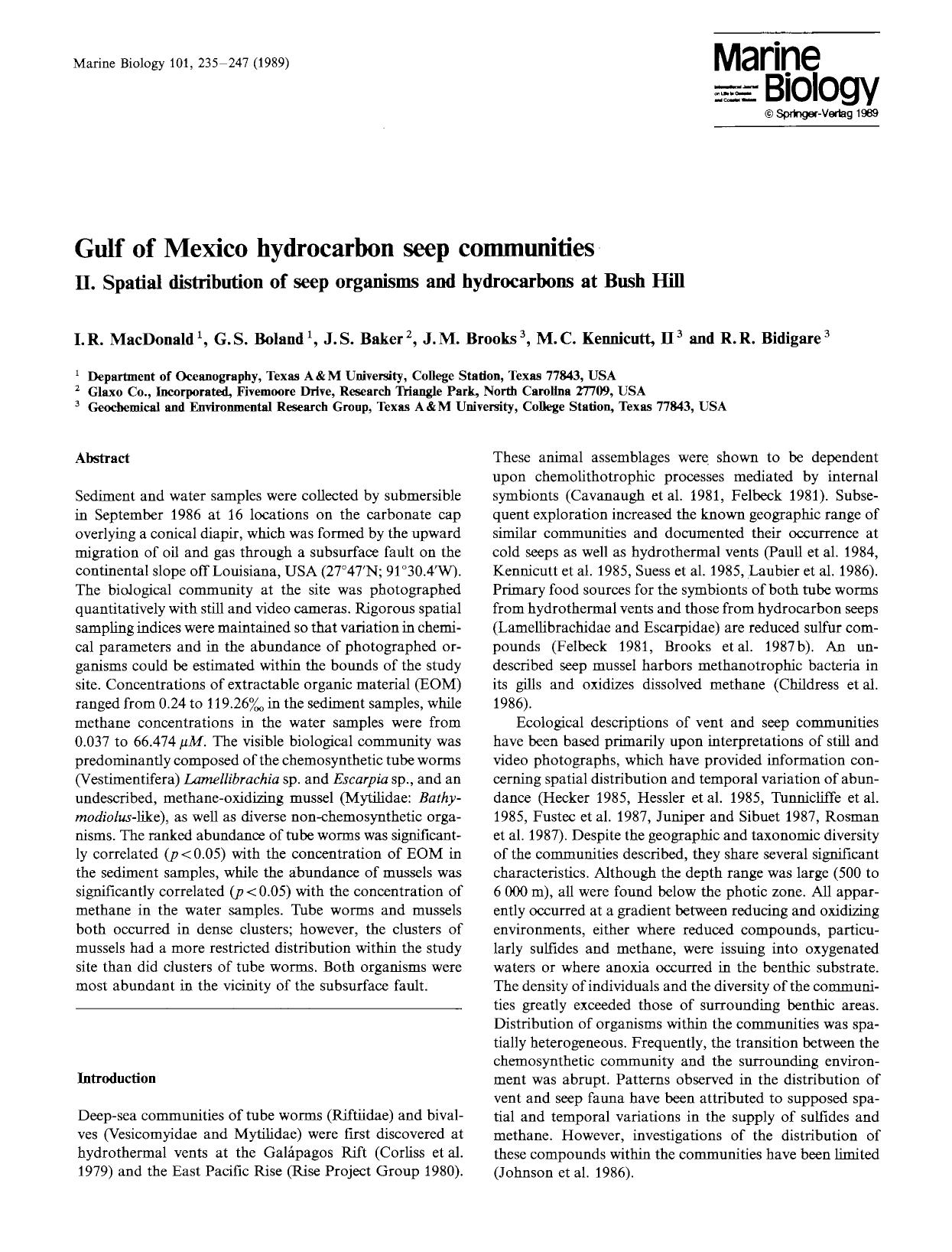 Gulf of Mexico hydrocarbon seep communities by Unknown