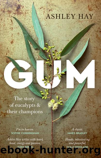 Gum: The Story of Eucalypts and Their Champions by Ashley Hay