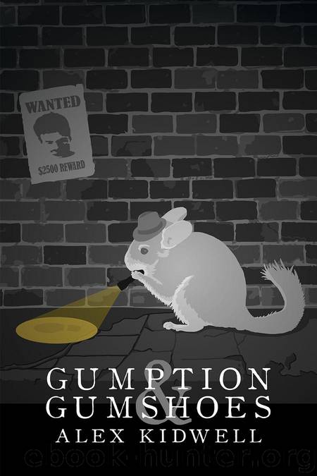 Gumption & Gumshoes by Kidwell Alex