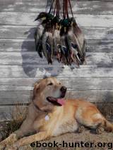 Gun Dog Training for the Duck and Goose Hunter by Eric Begbie