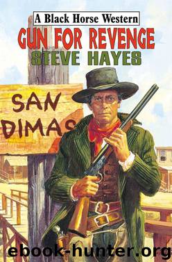 Gun for Revenge by Steve Hayes
