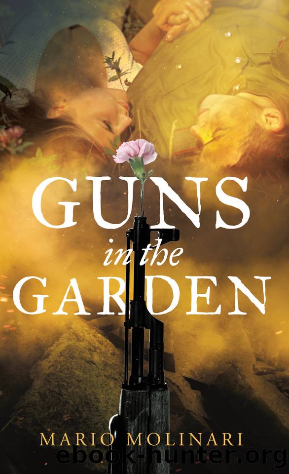 Guns in the Garden by Molinari Mario