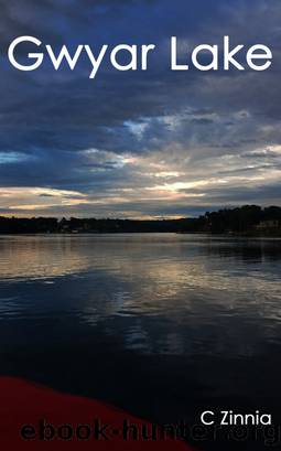 Gwyar Lake by C. Zinnia