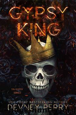 Gypsy King (Tin Gypsy Book 1) by Devney Perry