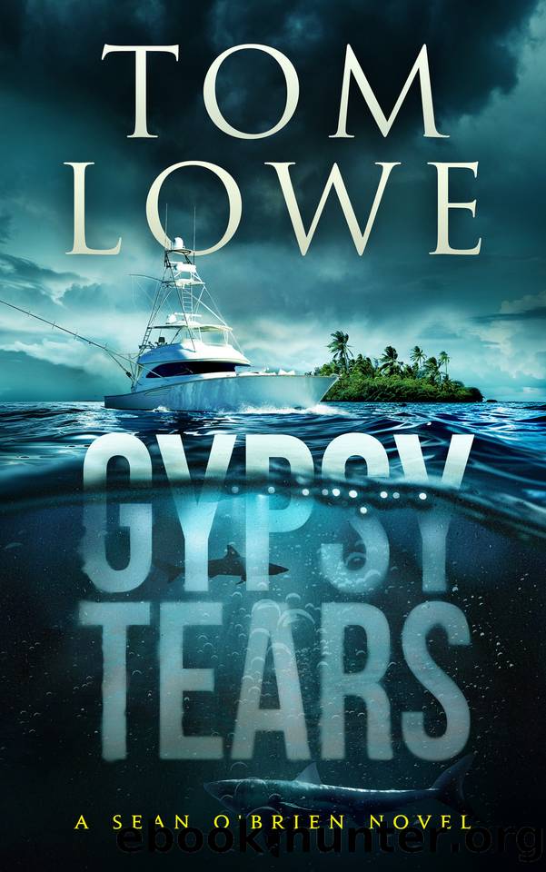Gypsy Tears: A Sean O'Brien Novel by Tom Lowe