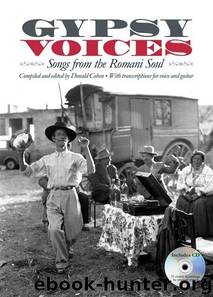 Gypsy Voices by Donald Cohen