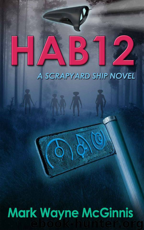 HAB 12 (Scrapyard Ship) by McGinnis Mark Wayne
