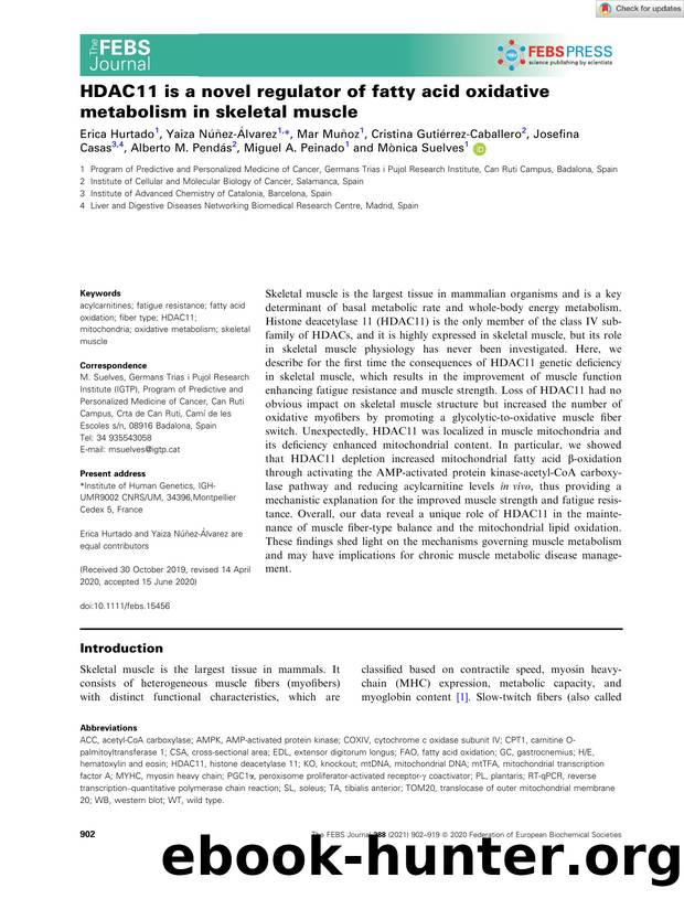 HDAC11 is a novel regulator of fatty acid oxidative metabolism in skeletal muscle by Unknown