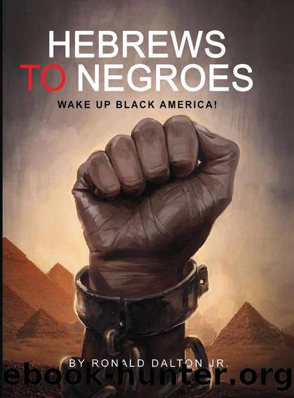 HEBREWS TO NEGROES: Wake Up Black America by Dalton Jr Ronald