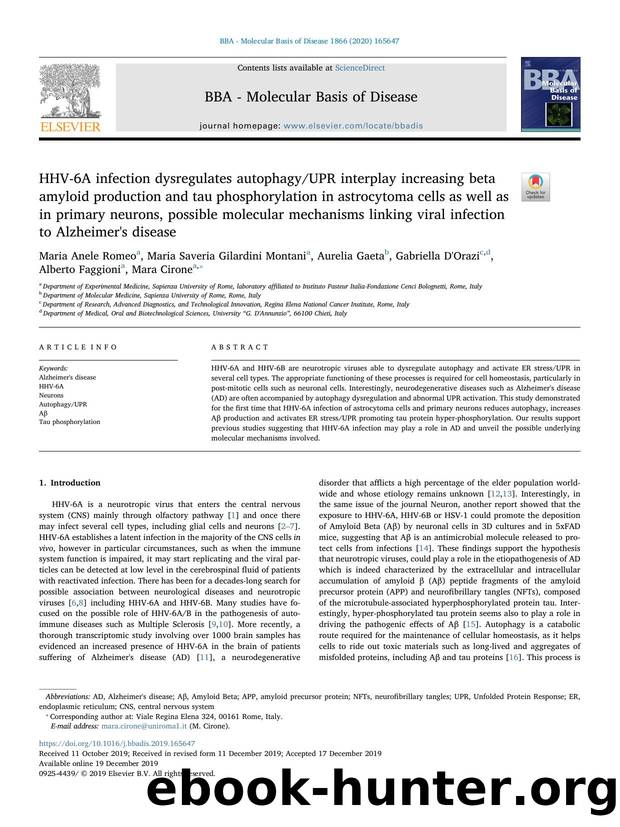 HHV-6A infection dysregulates autophagyUPR interplay increasing beta amyloid production and tau phosphorylation in astrocytoma cells as well as in primary neurons, possible molecul by unknow