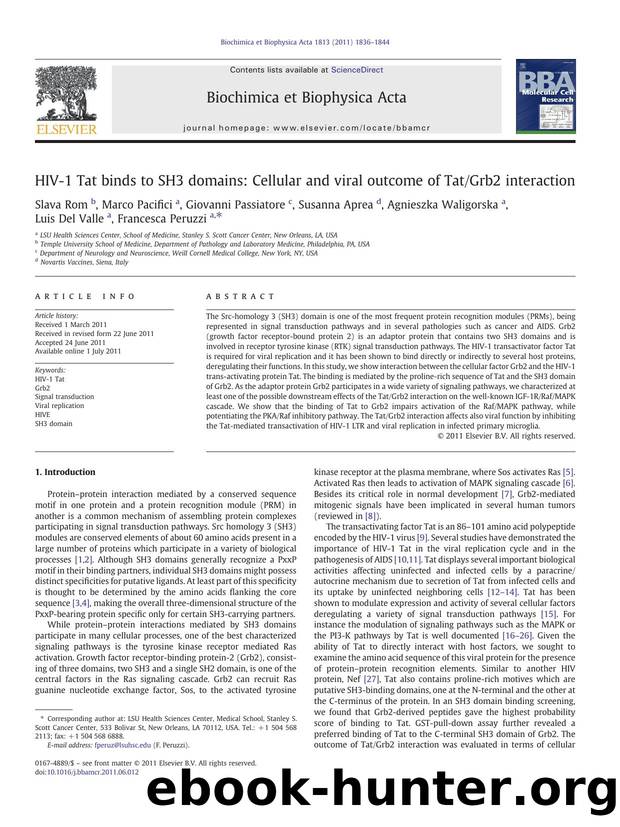 HIV-1 Tat binds to SH3 domains: Cellular and viral outcome of TatGrb2 interaction by unknow