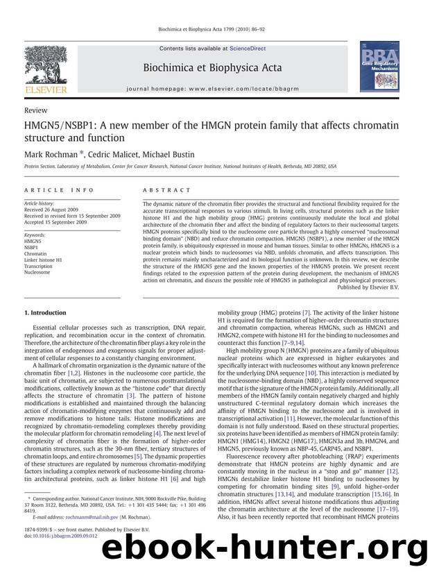HMGN5NSBP1: A new member of the HMGN protein family that affects chromatin structure and function by Mark Rochman; Cedric Malicet; Michael Bustin