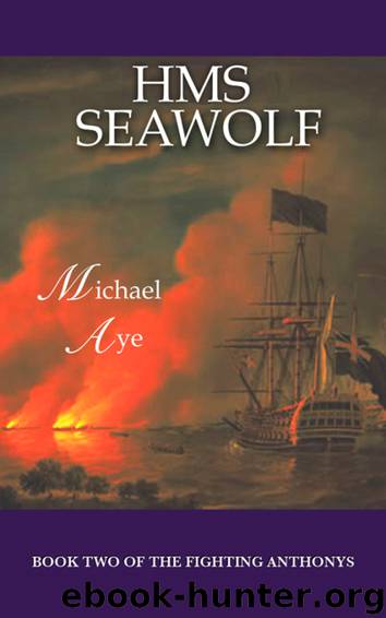 HMS Seawolf by Michael Aye