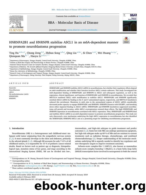 HNRNPA2B1 and HNRNPR stabilize ASCL1 in an m6A-dependent manner to promote neuroblastoma progression by Ting Hu & Chong Zeng & Zhihao Song & Qing Liu & Si Chen & Wei Huang & Qianquan Ma & Haoyu Li