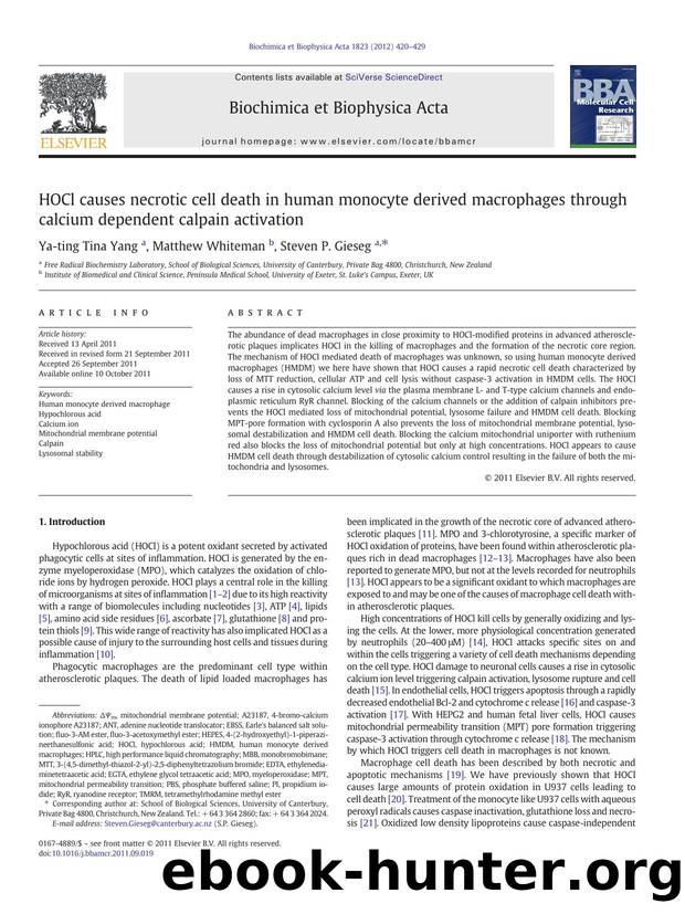 HOCl causes necrotic cell death in human monocyte derived macrophages through calcium dependent calpain activation by Ya-ting Tina Yang & Matthew Whiteman & Steven P. Gieseg