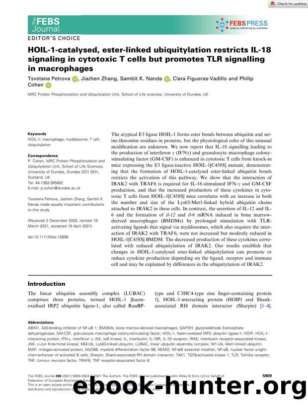 HOILâ1âcatalysed, esterâlinked ubiquitylation restricts ILâ18 signaling in cytotoxic T cells but promotes TLR signalling in macrophages by Unknown