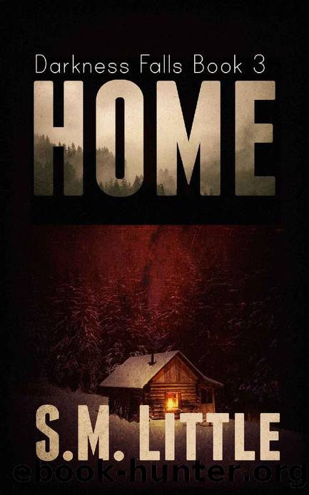 HOME: THE DARKNESS FALLS SERIES BOOK 3 by S.M. LITTLE
