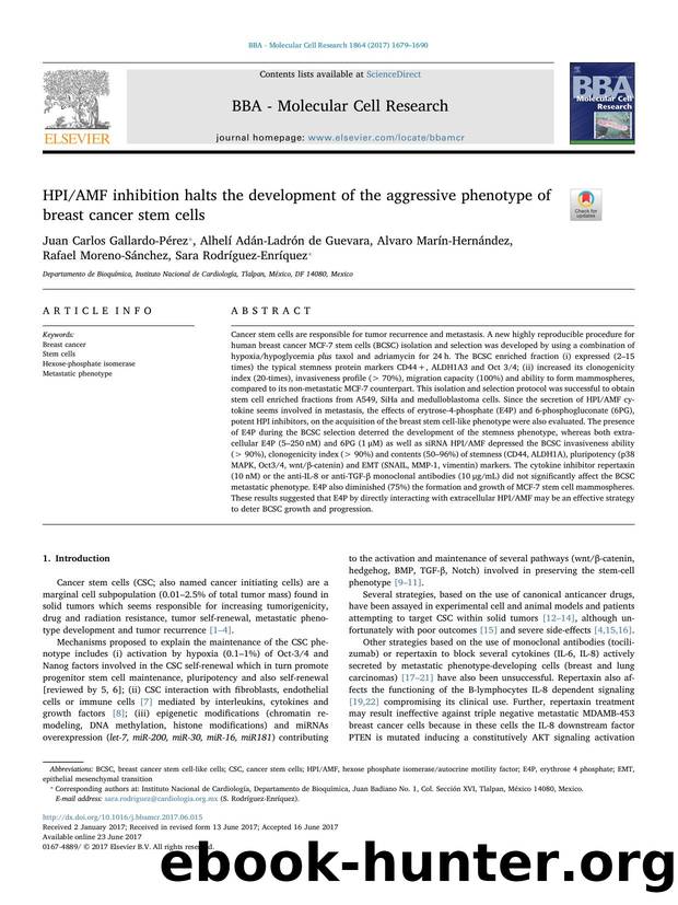 HPIAMF inhibition halts the development of the aggressive phenotype of breast cancer stem cells by unknow