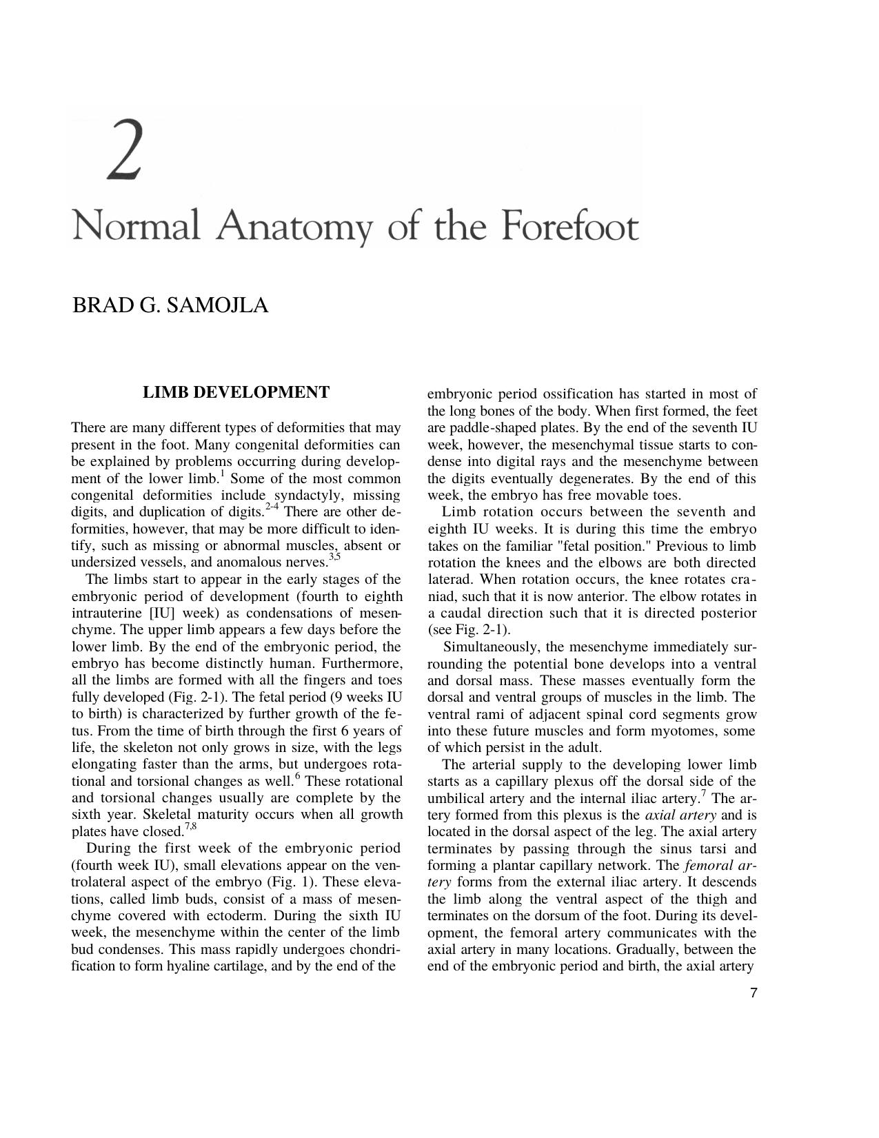 HV chapter 02-Normal Anatomy of the Forefoot.doc by mdeetz