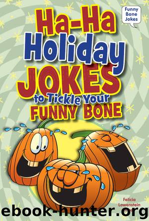 Ha–Ha Holiday Jokes to Tickle Your Funny Bone by Felicia Lowenstein Niven