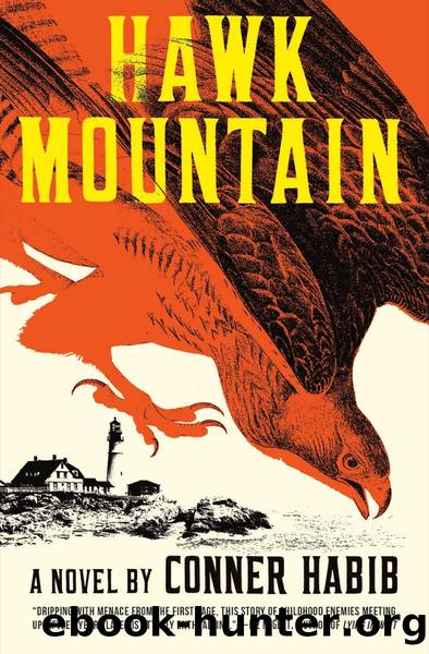 Habib, Conner - Hawk Mountain by Habib Conner