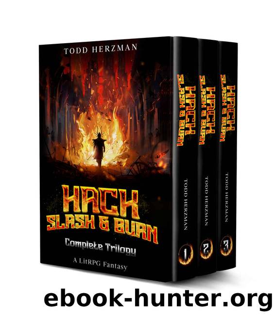 Hack Slash and Burn - Box Set by Herzman Todd
