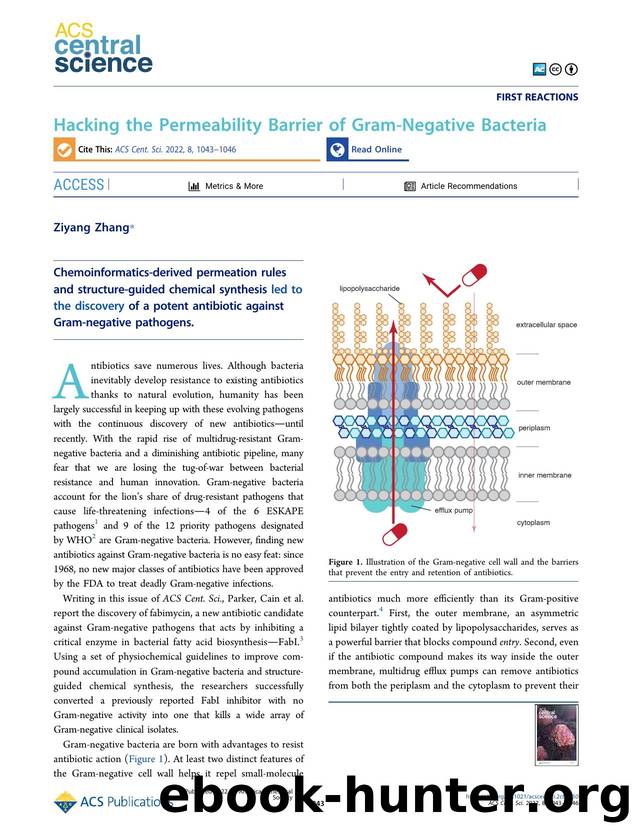 Hacking the Permeability Barrier of Gram-Negative Bacteria by Ziyang Zhang (ORCID: g/0000-0003-0541-7211)